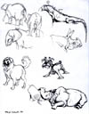 animal sketches